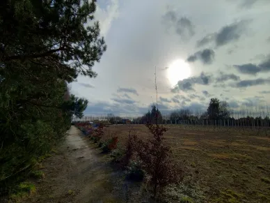Zdjęcie 12