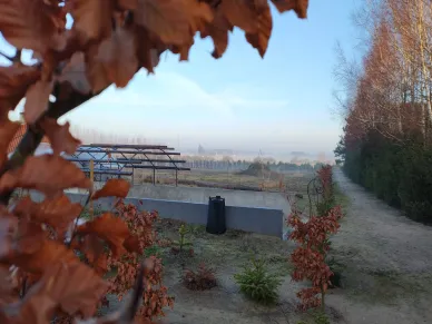 Zdjęcie 15